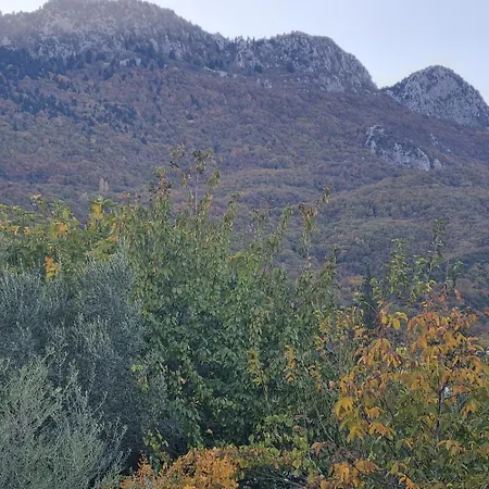 Estela House Tatil Evi *