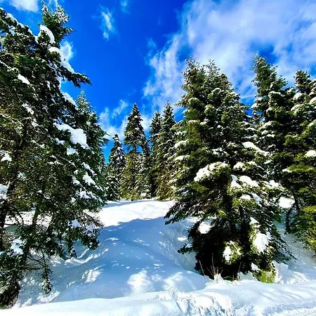 Estela House 펜션 *