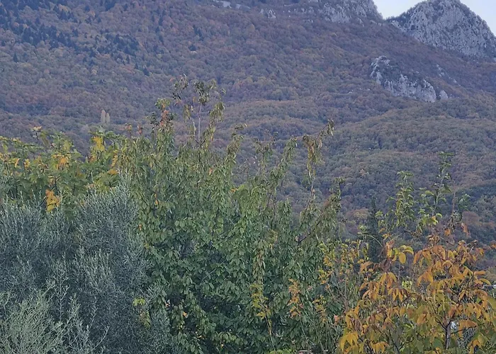 Estela House Case de vacanță *