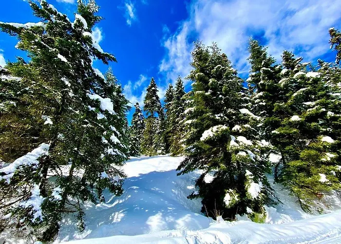 Estela House Case de vacanță *